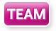 TEAM Performance Assessment
